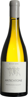 Bourgogne Aligoté