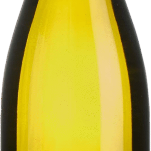 Bourgogne Aligoté