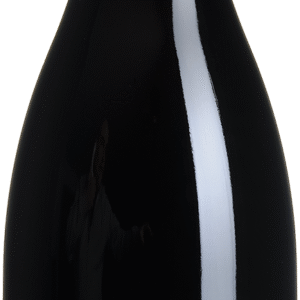 Gevrey-Chambertin - "Clos tamisot"