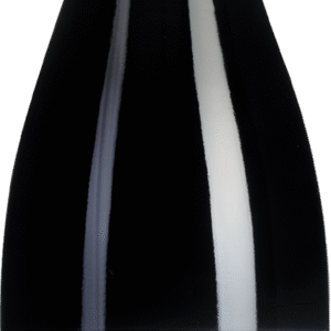 Nuits-Saint-Georges 1er cru - "La Richemone"