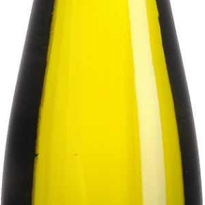 Riesling Hofberg in der Sängerei