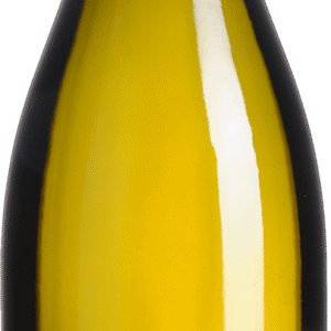 Chassagne-Montrachet 1er cru - Abbaye de Morgeot - Château du Passe-Temps - Bl