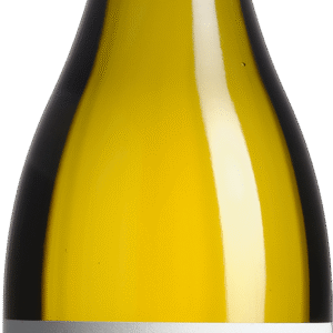 Bourgogne Aligoté