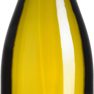 Santenay 1er cru - Clos du Passe-temps - Monopole - Bl