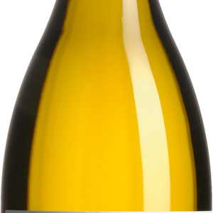 Meursault 1er cru - "Les Charmes du Milieu"