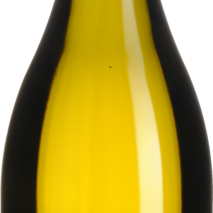 Puligny-Montrachet 1er cru - Champ-Gain